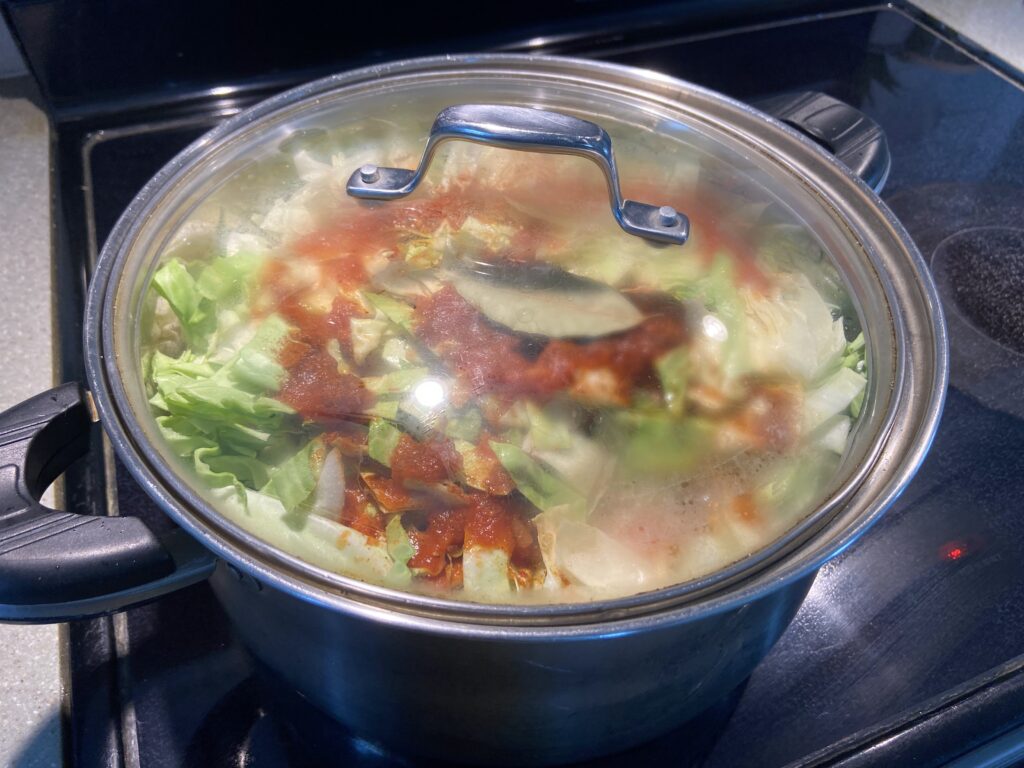 stewed cabbage and pork