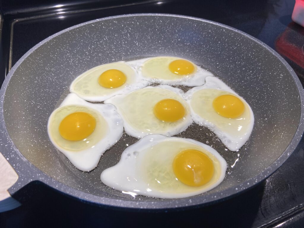 fried eggs